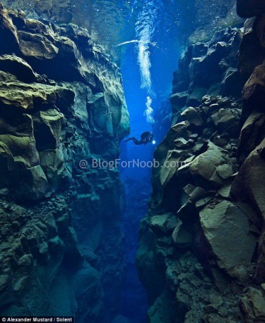 734770 335404946571694 355986295 n 372x453 Tectonic Plate Gap Between Europe & America