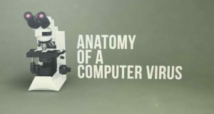 Stuxnet: Anatomy of Computer Virus