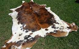 cowhide