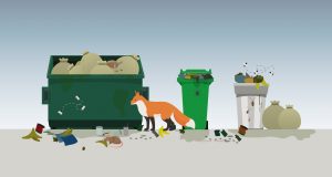 3 Health Risks of Overfilled Trash Bins
